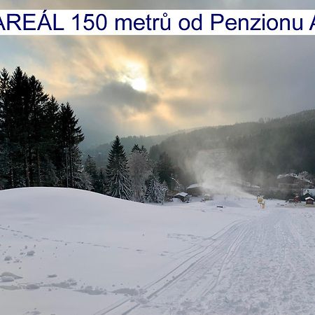 Penzion Alfa Železná Ruda المظهر الخارجي الصورة