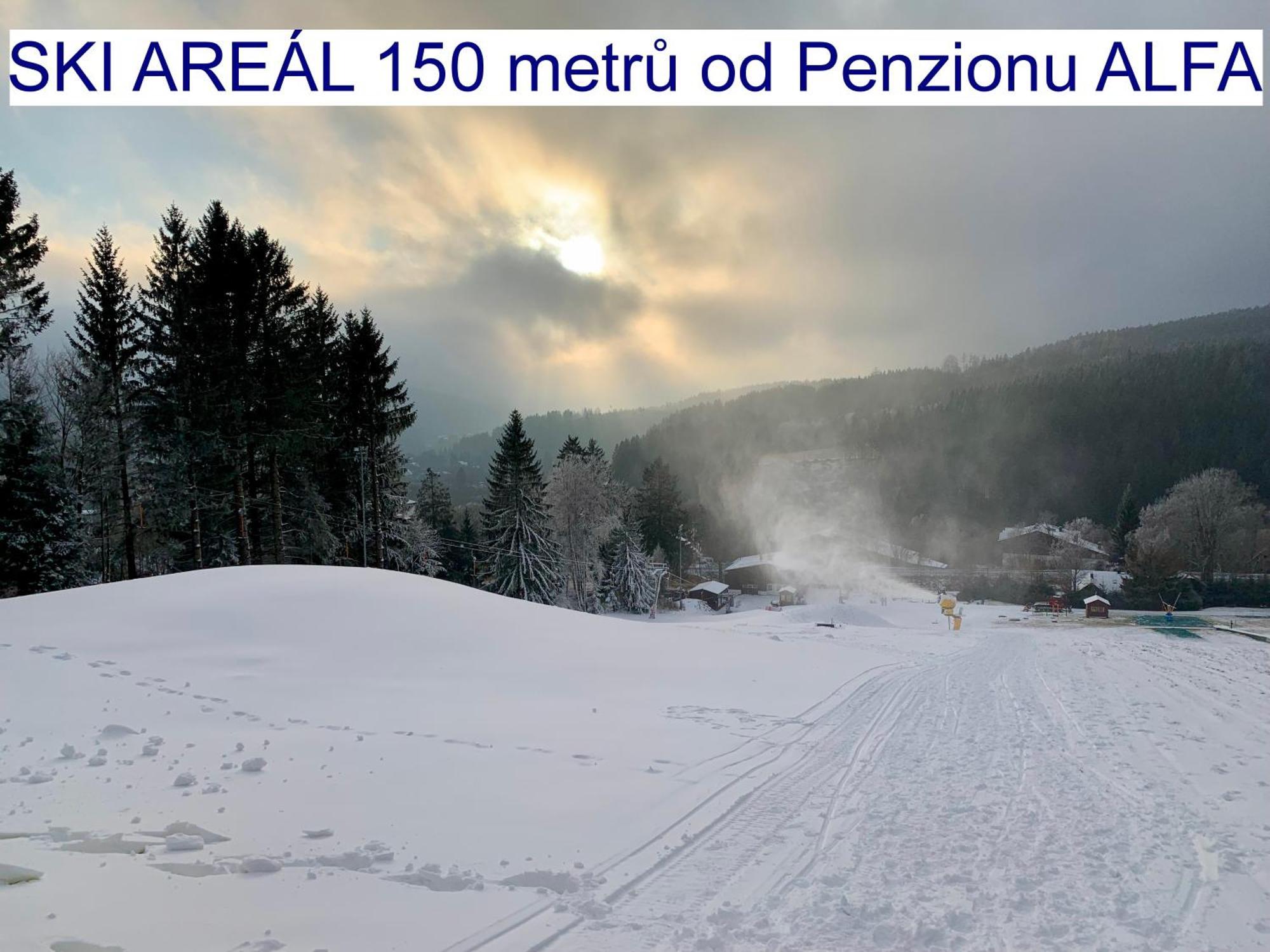 Penzion Alfa Železná Ruda المظهر الخارجي الصورة